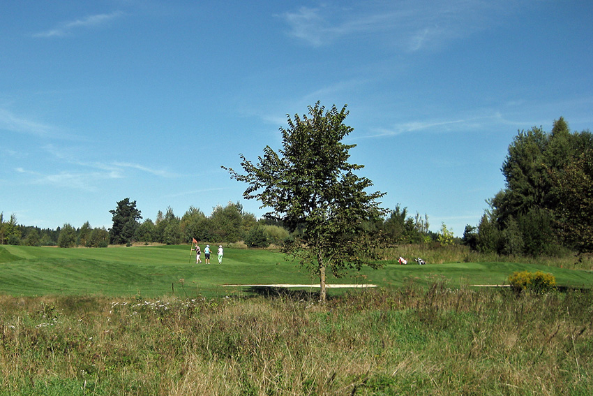 36_Haugschlak-golf2